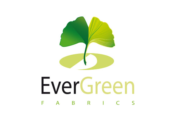 Evergreen Conseil & Accompagnement